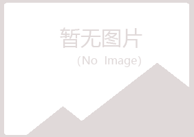 广昌县元柏化学有限公司